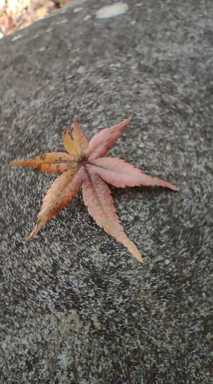 傑奇網