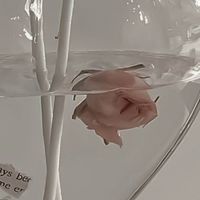 聊天/群通/唱歌