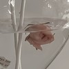 聊天/群通/唱歌