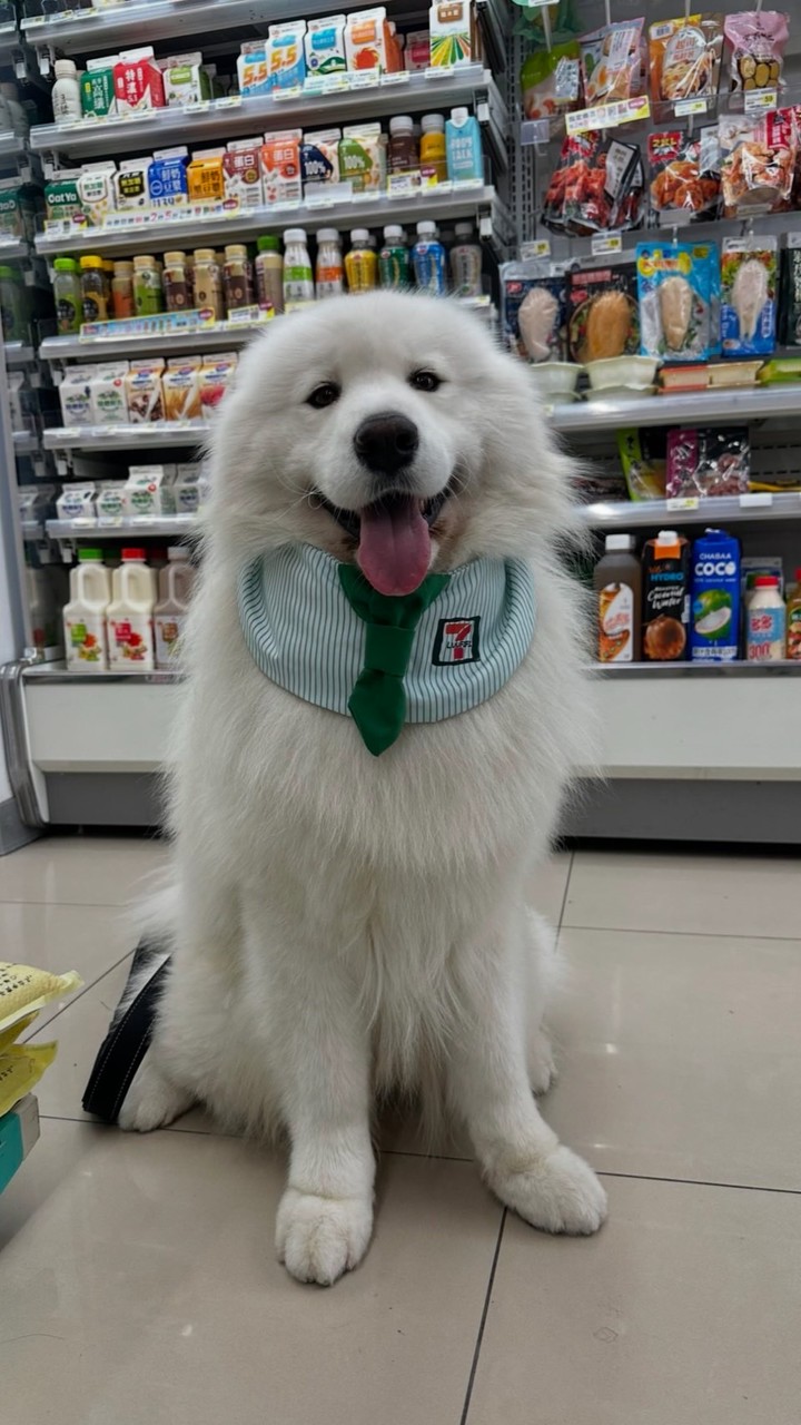 不要搞我
