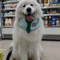不要搞我