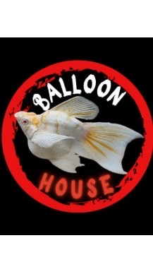 Balloon house