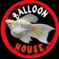 Balloon house