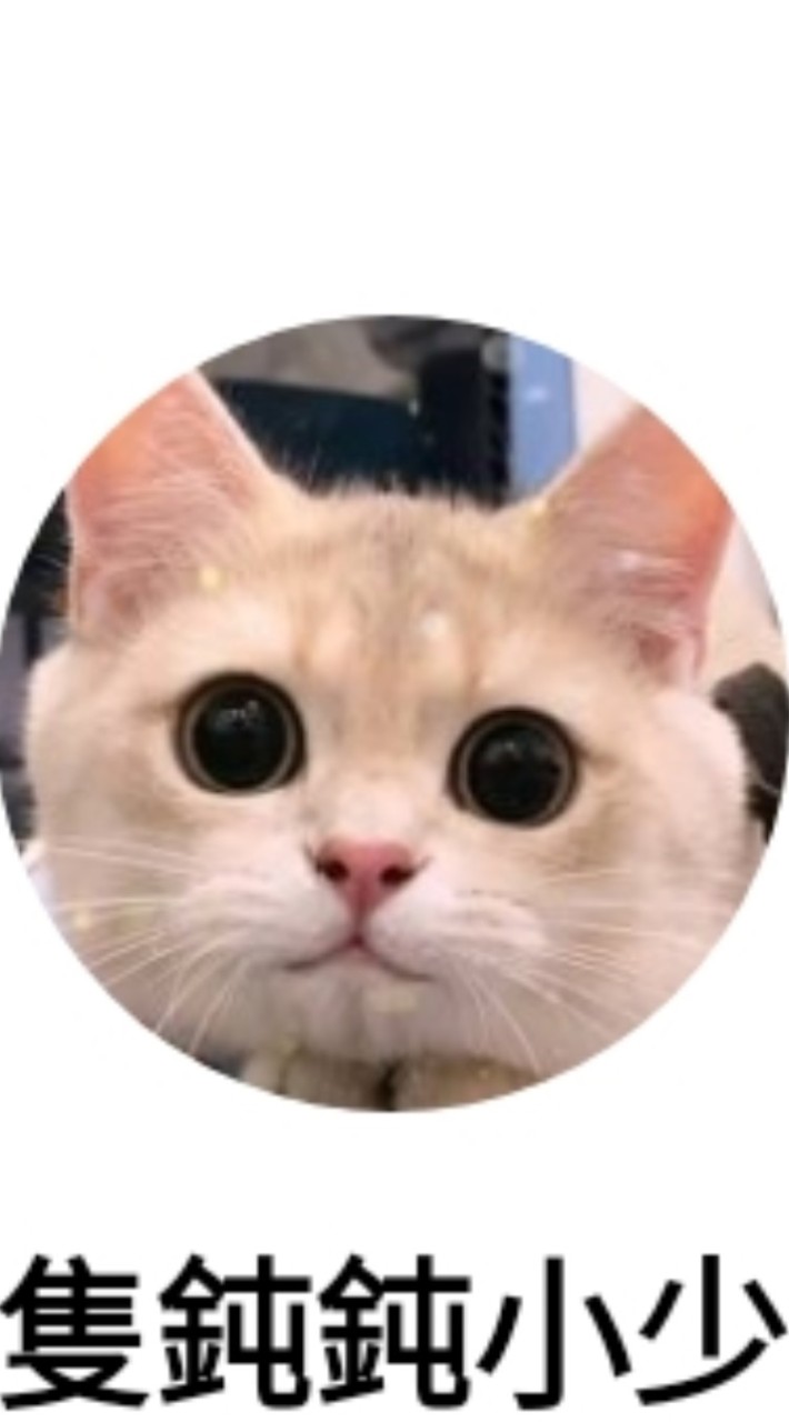 鈍鈍粉絲團