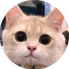 鈍鈍粉絲團