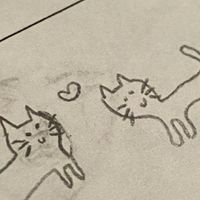 ส่งรูป 🖼️