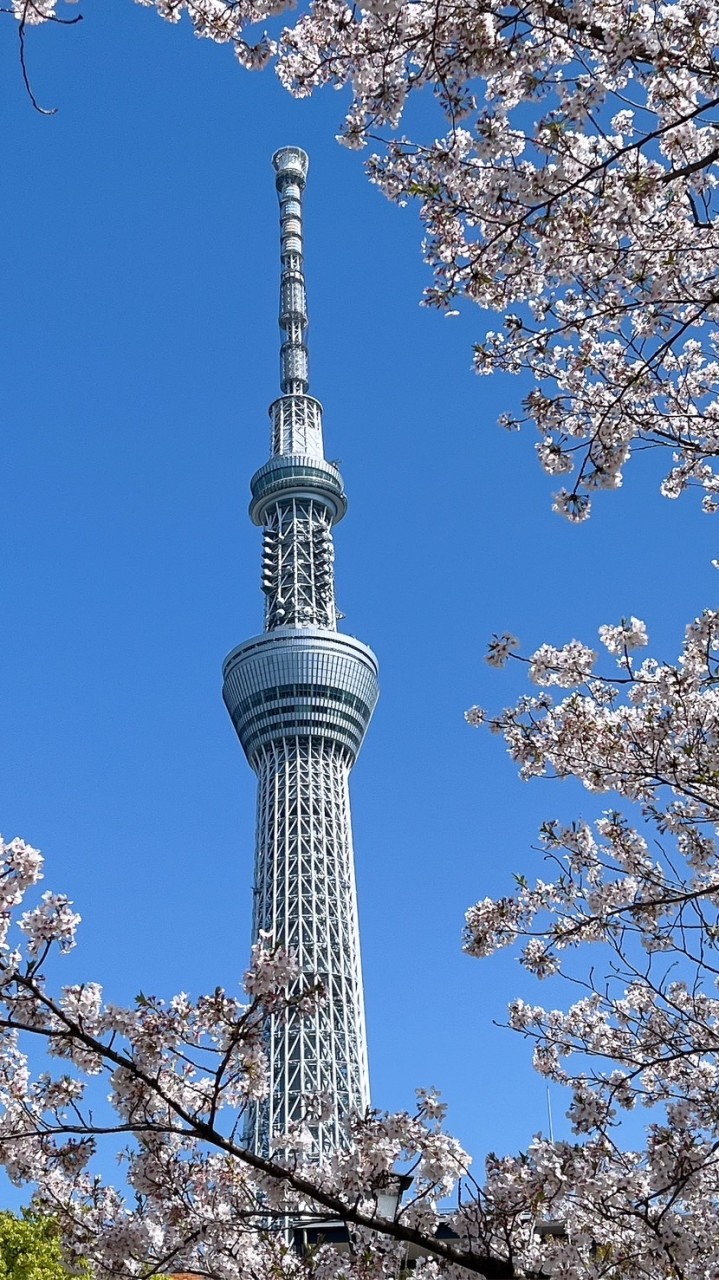 ✈️小鹿代購🩵11/11-11/14濟州島代購🇰🇷