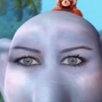 Ccl pan&bio