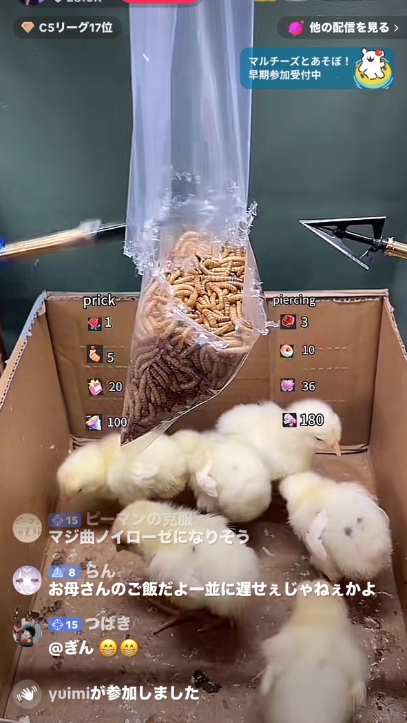 ミルワームz