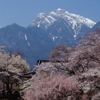 🍸札幌既婚者同士のお部屋☕