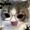 拼豆