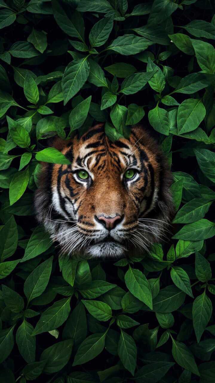 樂在投資🔥