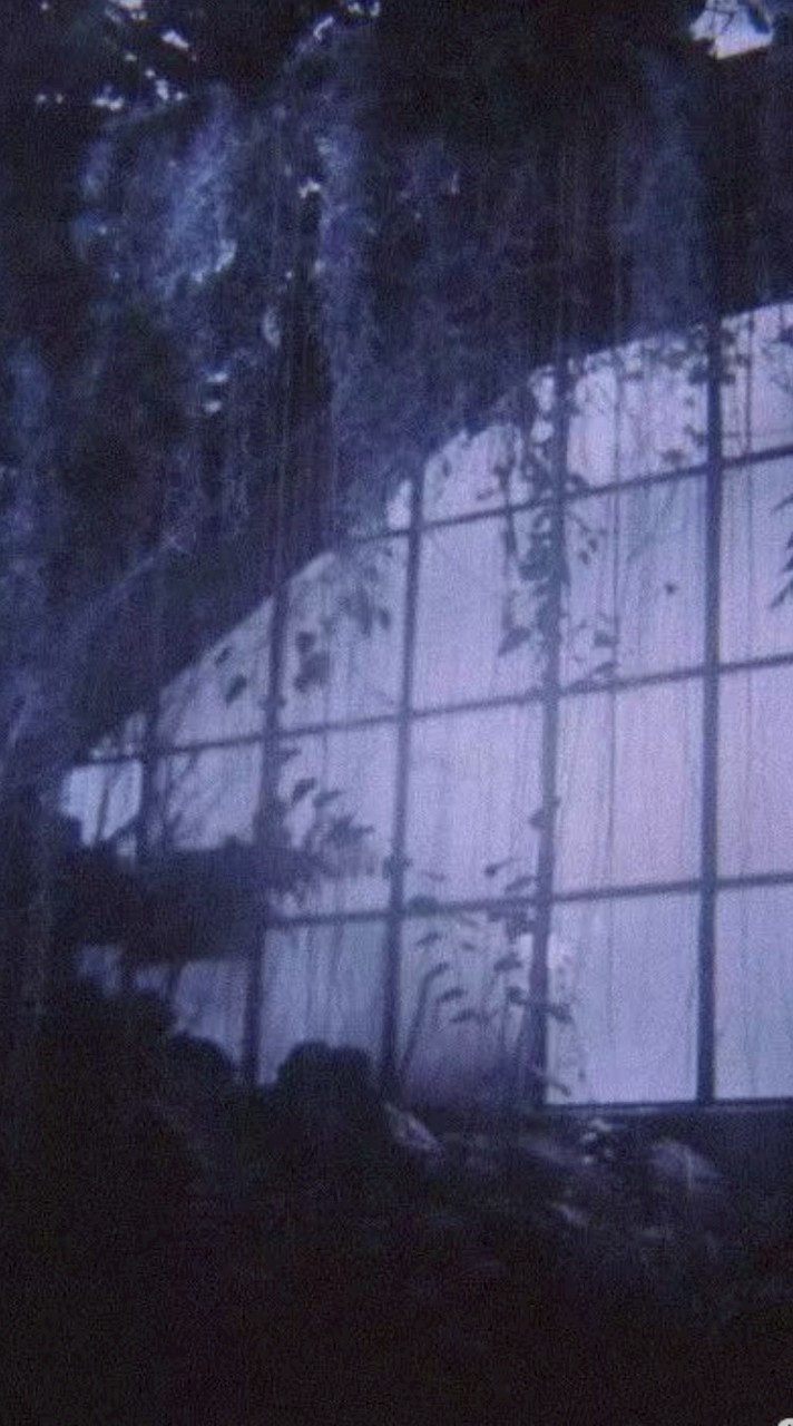 【⭐零 點 之 後❤️‍🔥】