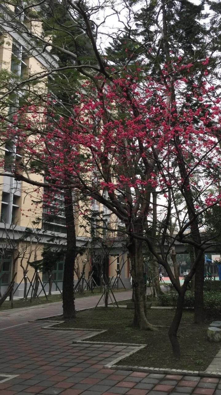 TFG三數親師社群
