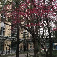 TFG三數親師社群