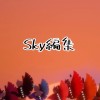 Sky編集