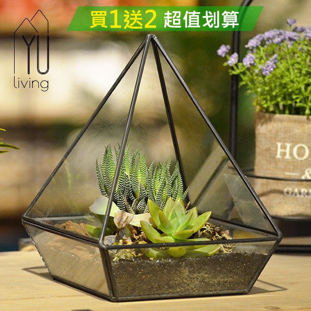 ▲好康大放送↘買一送二》買指定花瓶↘送人造龜背葉組(售價$８０)+人造盆栽七選一(售價$１００~$３８０)，現賺$１８０~$４６０，數量有限，售完為止！▲▲本月好康大放送↘↘全館結帳滿$３９９免運費 