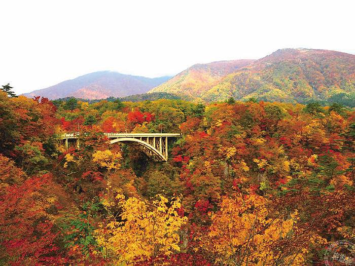 宮城必訪紅葉絕景6選 旅遊經 Line Today