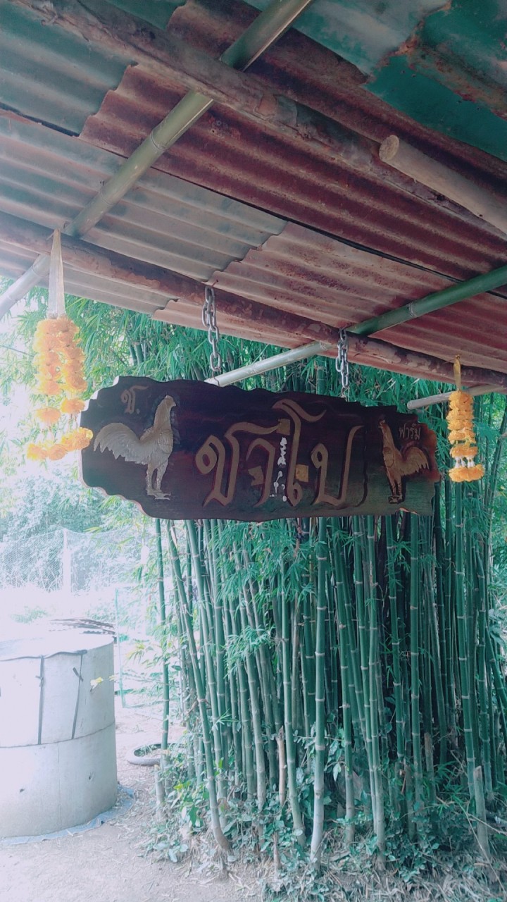 ช.ชาโปฟาร์ม & ส.ปราสาททอง