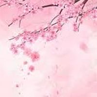 桃花林裡桃花仙