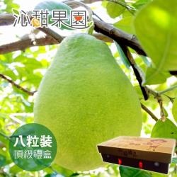 [沁甜果園SSN]台南麻豆40年老欉文旦(約3-5粒/5台斤)