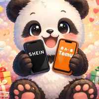 SHEIN &Temu（新規.既存.相互）
