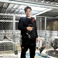 ตั้ม ส ทวีชัย พม่าล่าเดิมพัน