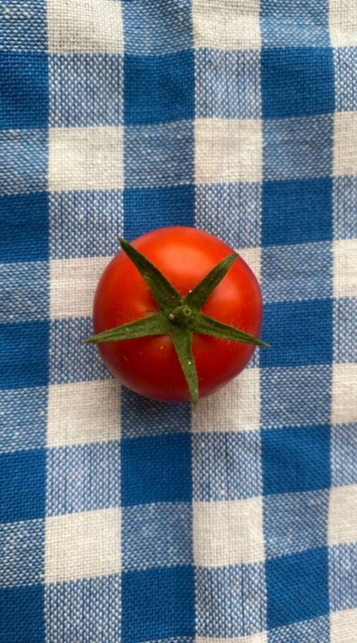 ∘σ⁠🥦˚⁠group˳⁠ ผู้ดูแล🍅 °