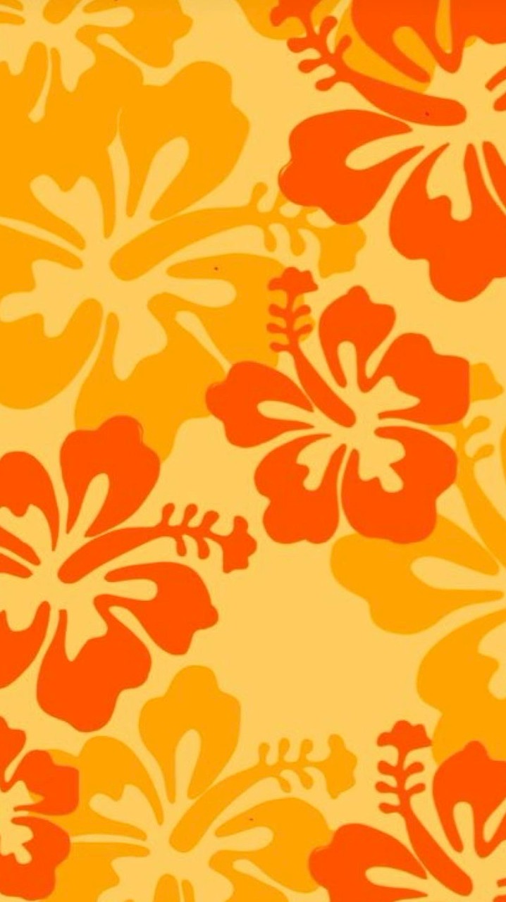 🌺法政大学公認フラサークル NāPuaAlani新歓🌺