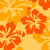 🌺法政大学公認フラサークル NāPuaAlani新歓🌺