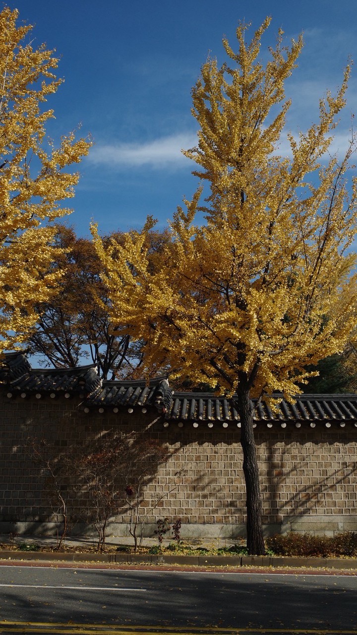 天海旅人圈-天海旅行社優惠行程清倉優惠團