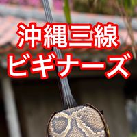 沖縄三線ビギナーズ