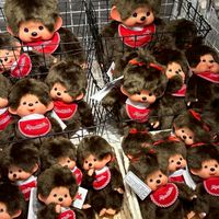 SAKSITA ด้อมรับหิ้ว🇯🇵🇰🇷🇨🇳