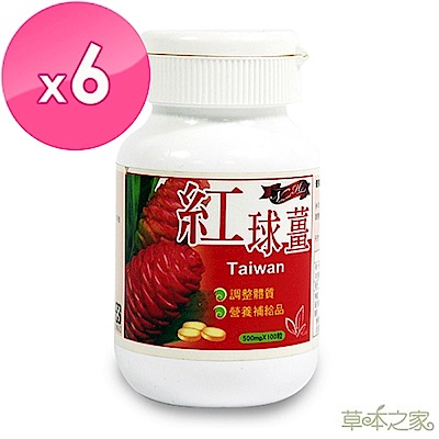 醫學的新發現天然的神奇寶貝-紅球薑! 純素食‧大人小孩適用