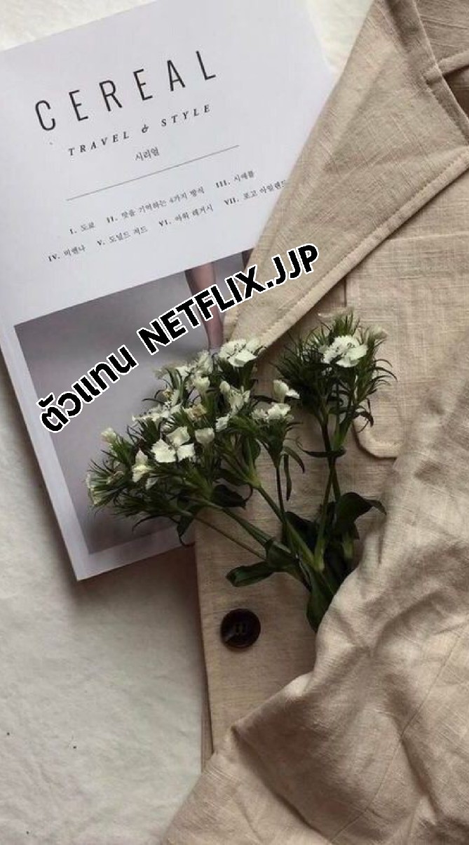 OpenChat ตัวแทนNETFLIX.JJP