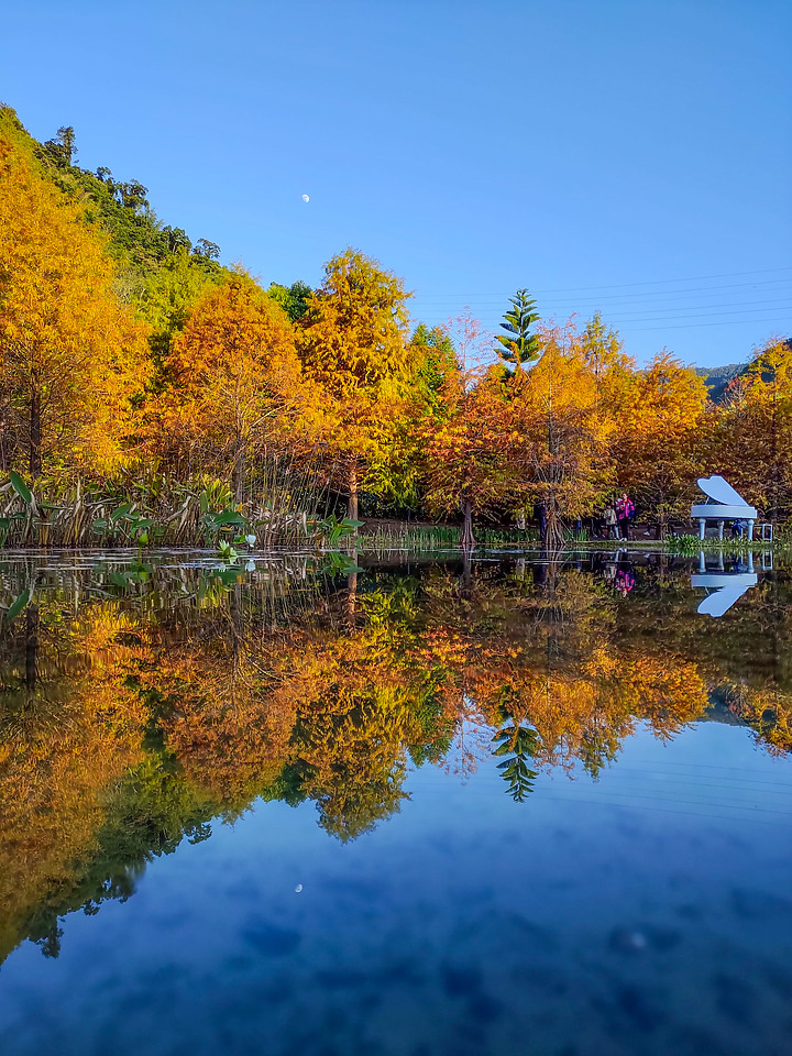 ASUS ZenFone6 使用一年的心得：拍攝倒影的最佳利器 (圖多)