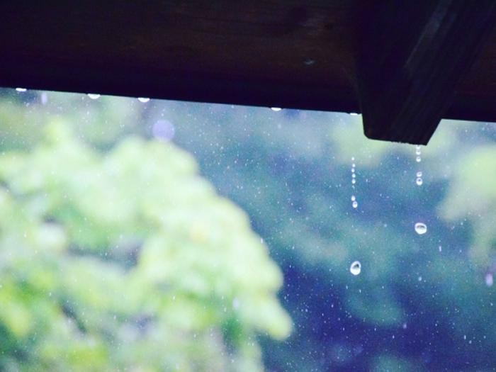 七十二候 大雨時行 雨の名前も様々 昔と今の雨の違い