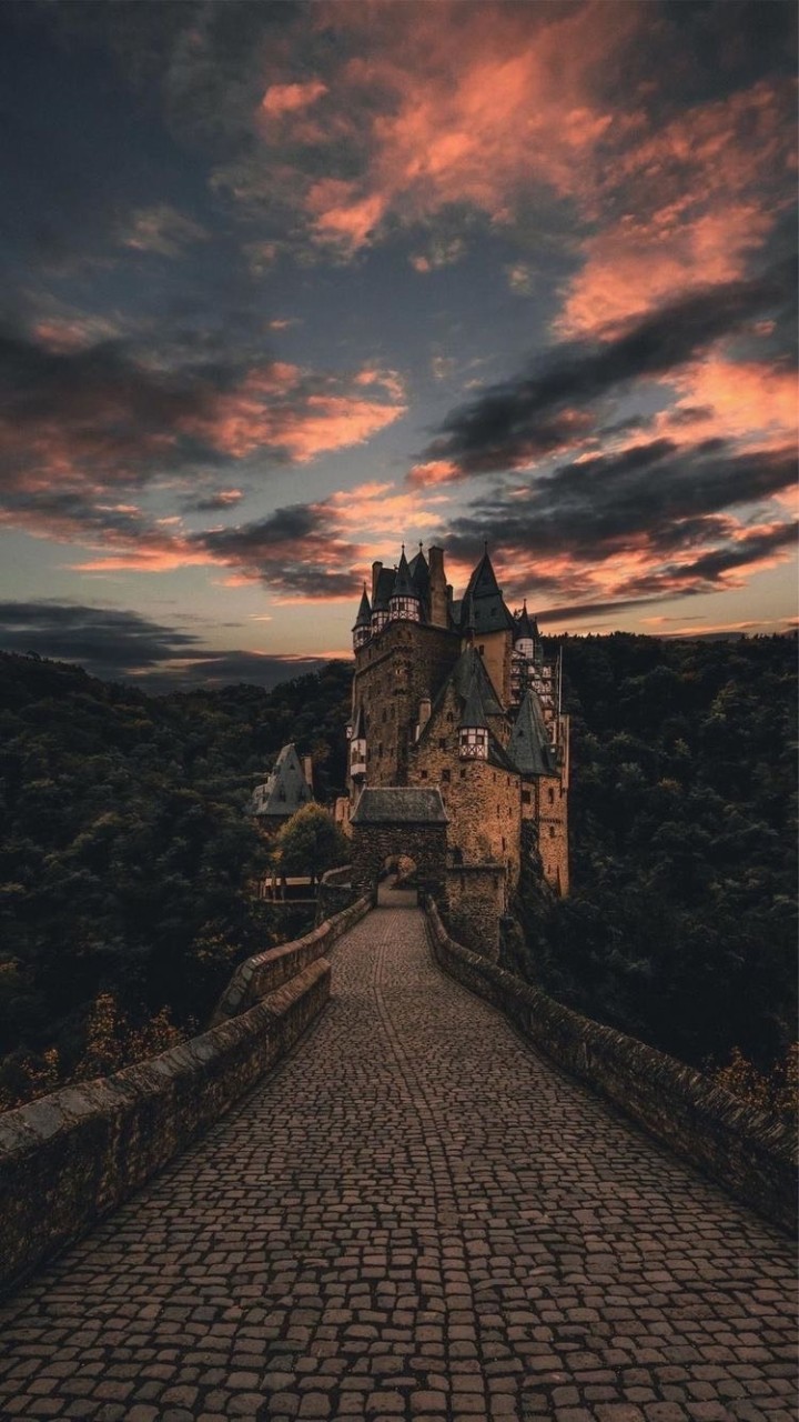 𝒽𝒐𝑔𝓌𝒶𝓇𝓉𝓈✨