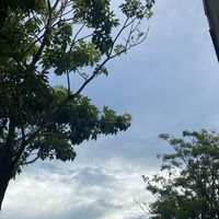 แจกท้องฟ้า