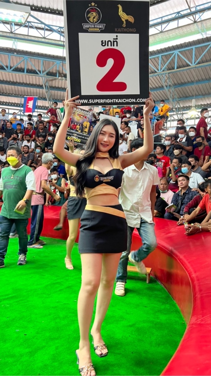 ฤทธีฟาร์มไก่ชนสายเลือดเทพลีลาร้อยเอ็ด
