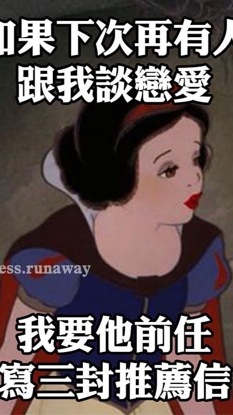 竹本布偶貓