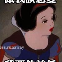 竹本布偶貓