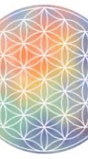 「汪哥健康同學會」Line社群