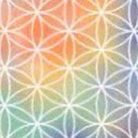 「汪哥健康同學會」Line社群