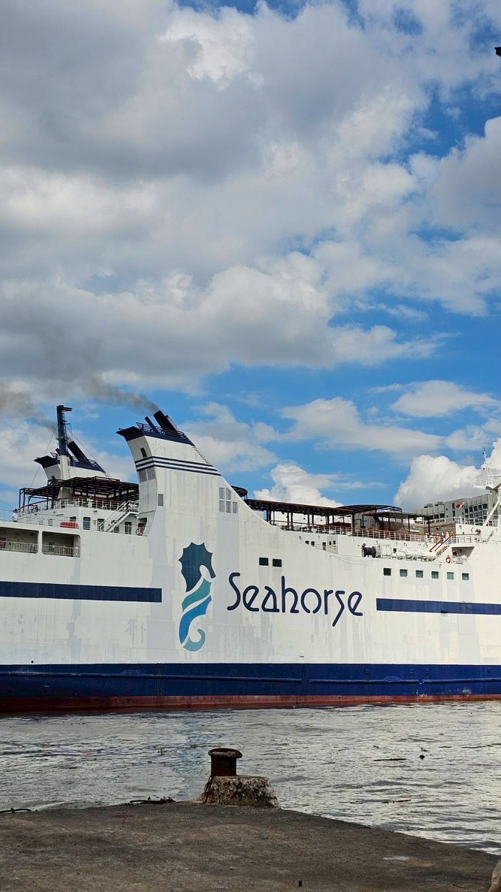 Agent: The Seahorse Ferry