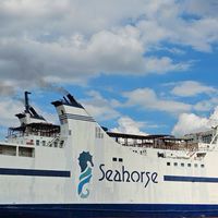 Agent: The Seahorse Ferry