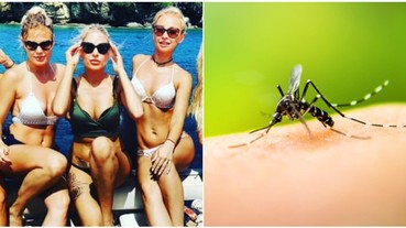 腳「腫」到不敢穿 Bikini！台灣夏天 7 大恐怖「吸血蚊蟲」大盤點 光看就讓你心癢難耐！