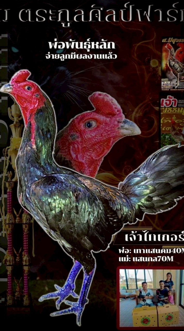ตระกูลศิลป์ฟาร์ม