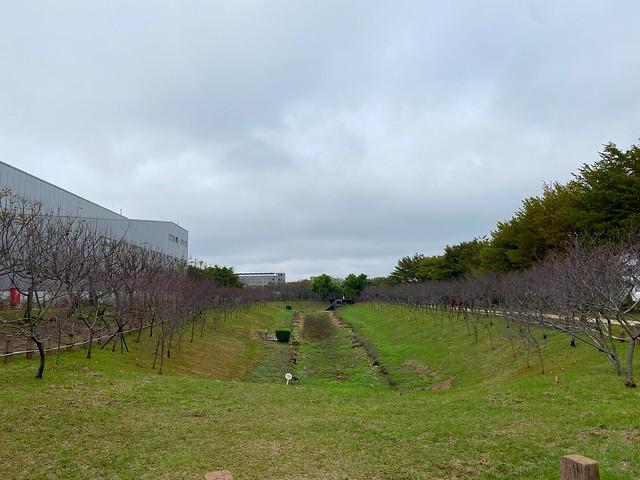 后里崴立機電櫻花公園