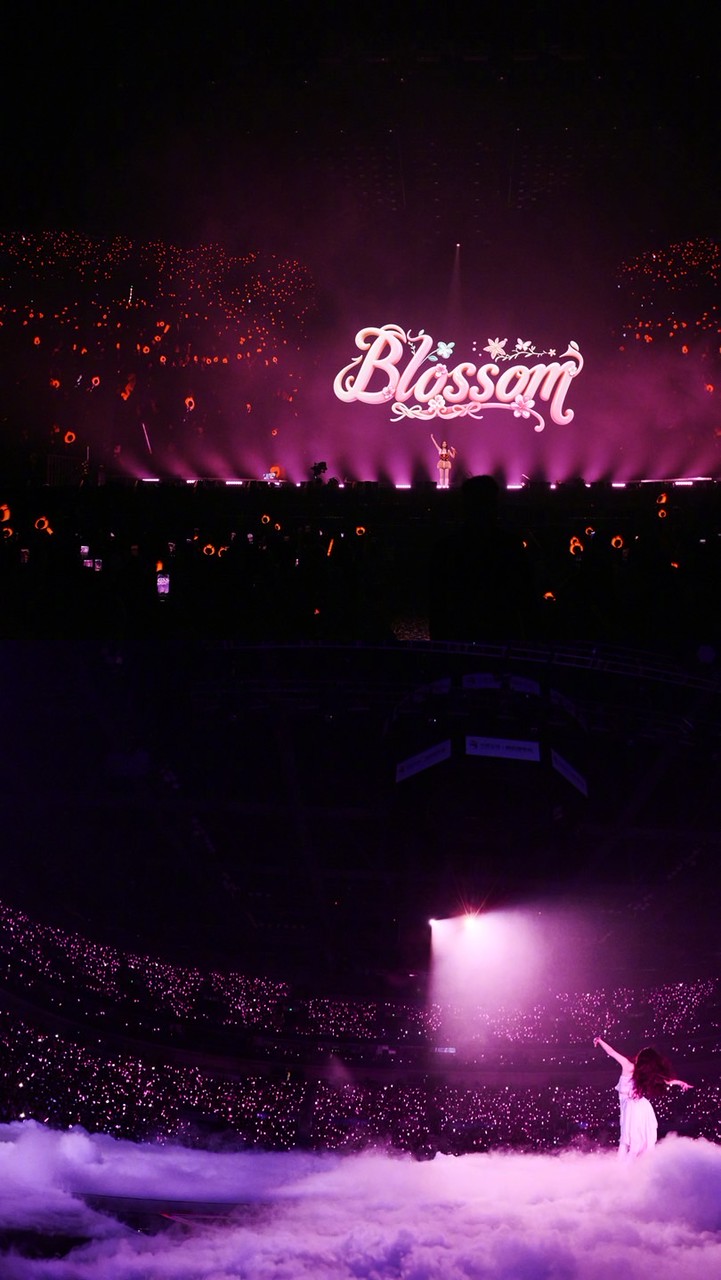 虞書欣的小石榴